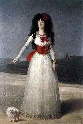 Francisco de Goya Duchess of Alba-The White Duchess Germany oil painting artist